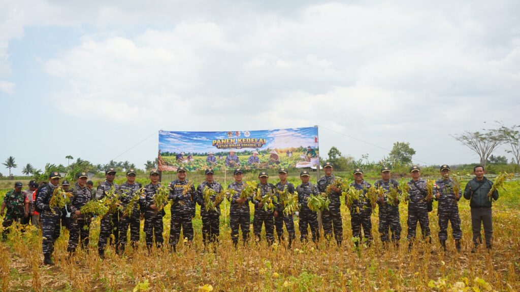 Komandan Kodaeral XI Panen Raya Kedelai, Tegaskan Komitmen TNI AL Dukung Ketahanan Pangan di Papua Selatan