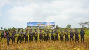 Komandan Kodaeral XI Panen Raya Kedelai, Tegaskan Komitmen TNI AL Dukung Ketahanan Pangan di Papua Selatan