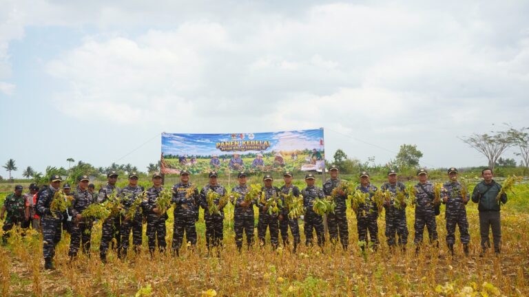 Komandan Kodaeral XI Panen Raya Kedelai, Tegaskan Komitmen TNI AL Dukung Ketahanan Pangan di Papua Selatan